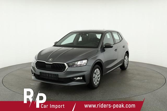 Skoda Fabia Selection 1.0 TSI Selection, Park, Winterpaket, SmartLink, 4-J Garantie 
