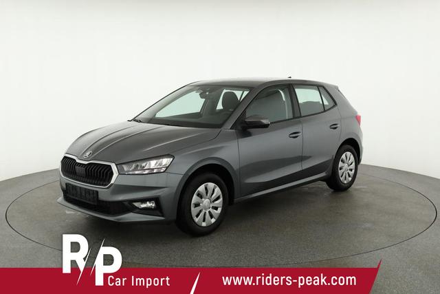 Skoda Fabia Selection 1.0 TSI Selection, Park, Winterpaket, SmartLink, 4-J Garantie 