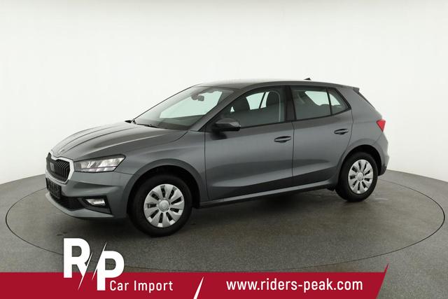 Skoda Fabia Selection 1.0 TSI Selection, Park, Winterpaket, SmartLink, 4-J Garantie 