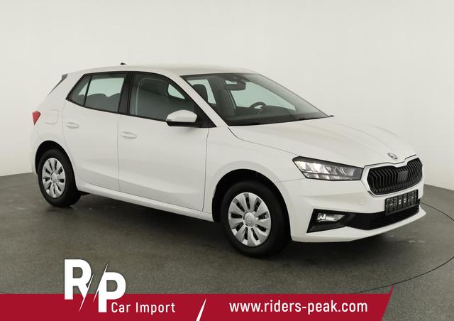 Skoda Fabia Selection 1.0 TSI Selection, Ladeboden, Park, Winterpaket, SmartLink, 4-J Garantie 