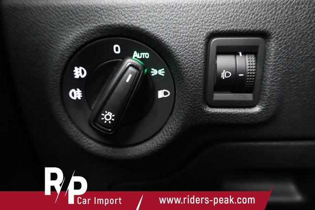 Skoda Fabia Selection 1.0 TSI Selection, Ladeboden, Park, Winterpaket, SmartLink, 4-J Garantie 