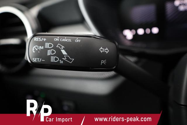 Skoda Fabia Selection 1.0 TSI Selection, Ladeboden, Park, Winterpaket, SmartLink, 4-J Garantie 