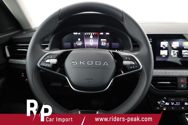 Skoda Kamiq Selection 1.0 TSI DSG Selection, Matrix, Kamera, 16-Zoll, Winter, 4-J Garantie 