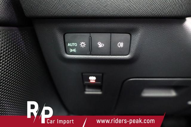 Skoda Kodiaq 2.0 TDI 142 kW 4x4 Selection DSG Selection, 7-Sitzer, AHK, Navi, Side, Kamera, Winter, 19-Zoll 