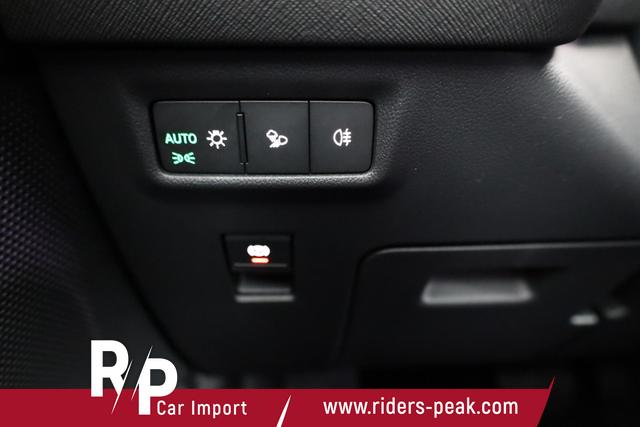 Skoda Kodiaq 2.0 TDI 142 kW 4x4 Selection DSG Selection, 7-Sitzer, AHK, Navi, Side, Kamera, Winter, 19-Zoll 