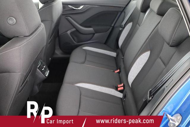 Skoda Kamiq Selection 1.5 TSI DSG Selection, AHK, Kamera, Winter, 4-J Garantie 