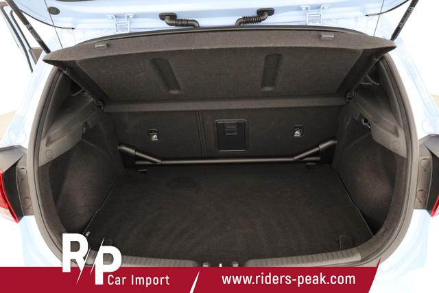 Hyundai i30 N Performance i30N 2.0 T-GDI DCT, Schalensitze, AHK, Side, Navi, Teilleder 