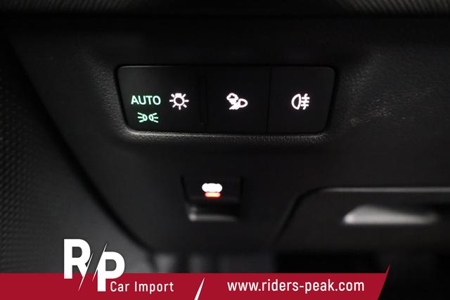 Skoda Kodiaq 2.0 TDI 142 kW 4x4 Selection DSG Selection, 7-Sitzer, AHK, Navi, Side, Kamera, Winter, 19-Zoll 