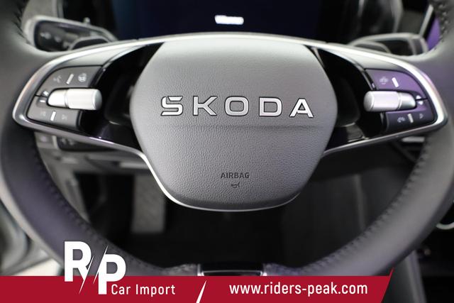 Skoda Kodiaq 2.0 TDI 142 kW 4x4 Selection DSG Selection, 7-Sitzer, AHK, Navi, Side, Kamera, Winter, 19-Zoll 