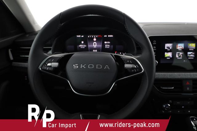 Skoda Kamiq Selection 1.0 TSI DSG Selection, AHK, Matrix, Kamera, Winter, 4-J Garantie 
