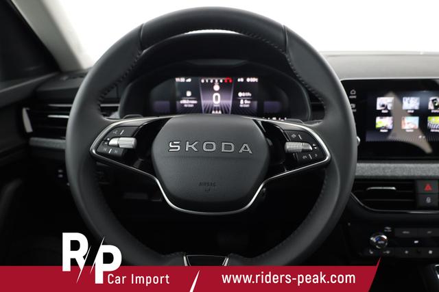 Skoda Kamiq Selection 1.5 TSI DSG Selection, AHK, Kamera, Winter, 4-J Garantie 