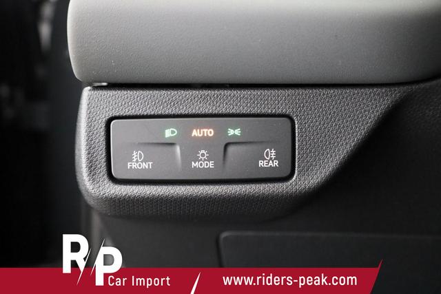 Cupra Terramar 2.0 TSI 150 kW 4Drive DSG 4Drive, AHK, HuD, Navi, Winter 