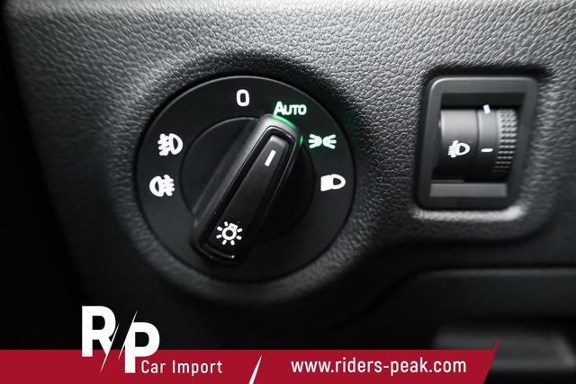 Skoda Fabia Selection 1.0 TSI Selection, Ladeboden, Park, Winterpaket, SmartLink, 4-J Garantie 