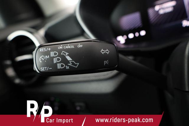 Skoda Fabia Selection 1.0 TSI Selection, Ladeboden, Park, Winterpaket, SmartLink, 4-J Garantie 