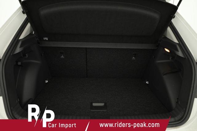 Skoda Fabia Selection 1.0 TSI Selection, Ladeboden, Park, Winterpaket, SmartLink, 4-J Garantie 