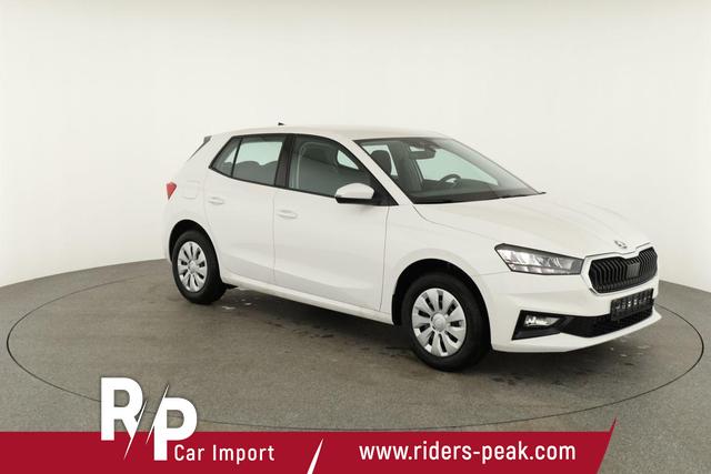 Skoda Fabia Selection 1.0 TSI Selection, Ladeboden, Park, Winterpaket, SmartLink, 4-J Garantie 