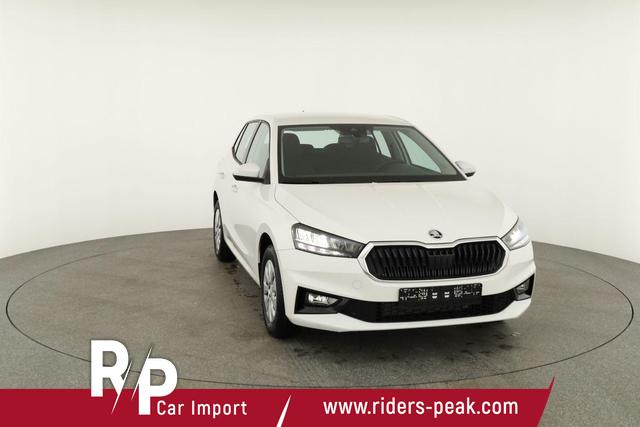 Skoda Fabia Selection 1.0 TSI Selection, Ladeboden, Park, Winterpaket, SmartLink, 4-J Garantie 