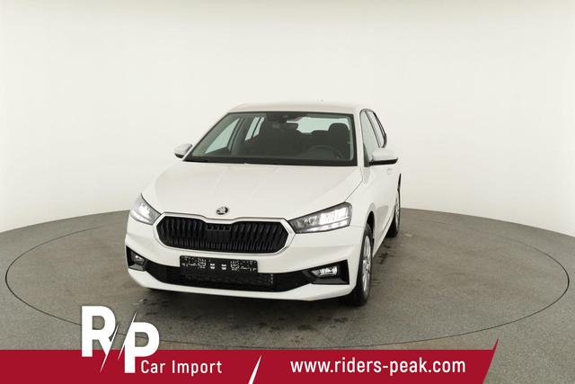 Skoda Fabia Selection 1.0 TSI Selection, Ladeboden, Park, Winterpaket, SmartLink, 4-J Garantie 