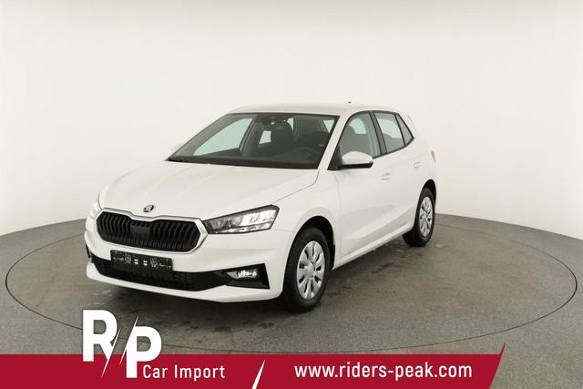 Skoda Fabia Selection 1.0 TSI Selection, Ladeboden, Park, Winterpaket, SmartLink, 4-J Garantie 