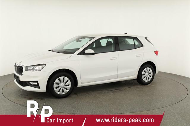 Skoda Fabia Selection 1.0 TSI Selection, Ladeboden, Park, Winterpaket, SmartLink, 4-J Garantie 