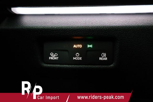 Volkswagen Tiguan 2.0 TDI 142 kW 4Motion R-Line DSG 4 Motion R-LINE, IQ.Light, AHK, Navi, AreaView, Side, Winter, el. Klappe 