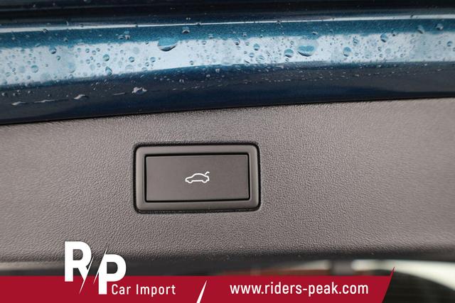 Volkswagen Tiguan 2.0 TDI 142 kW 4Motion R-Line DSG 4 Motion R-LINE, IQ.Light, AHK, Navi, AreaView, LEDER, Side, Winter, 20-Zoll 