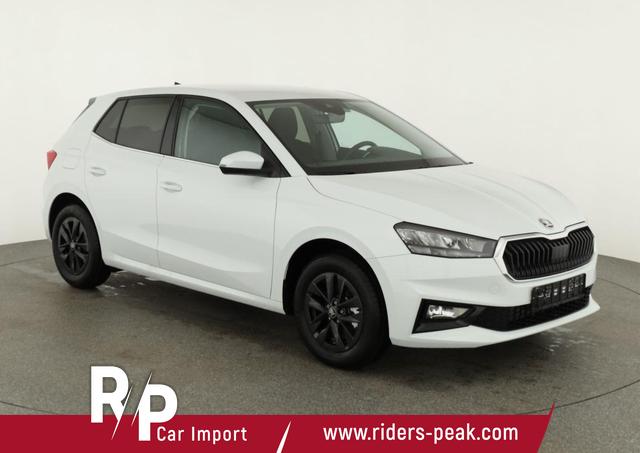 Skoda Fabia - Selection 1.0 TSI DSG Selection, 15-Zoll schwarz, Winter, Ladeboden