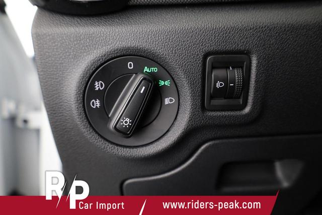 Skoda Fabia Selection 1.0 TSI DSG Selection, 15-Zoll schwarz, Winter, Ladeboden 