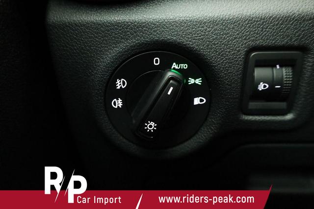 Skoda Fabia Selection 1.0 TSI DSG Selection, KESSY, Kamera, 15-Zoll schwarz, Winter, Ladeboden 