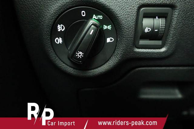 Skoda Fabia Selection 1.0 TSI DSG Selection, KESSY, Kamera, 15-Zoll schwarz, Winter, Ladeboden 