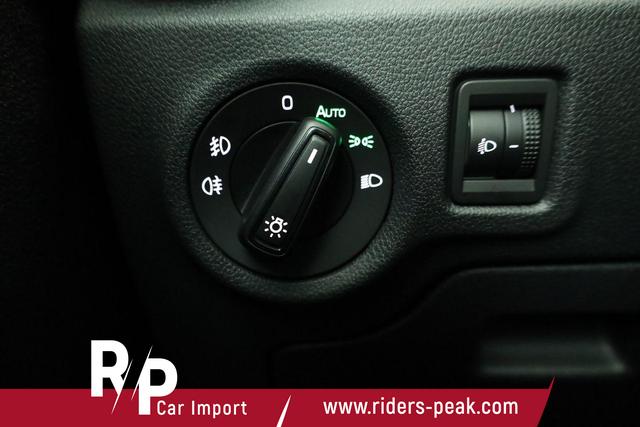 Skoda Fabia Selection 1.0 TSI DSG Selection, LED, Kamera, Side, ACC, Winter, Ladeboden, sofort 