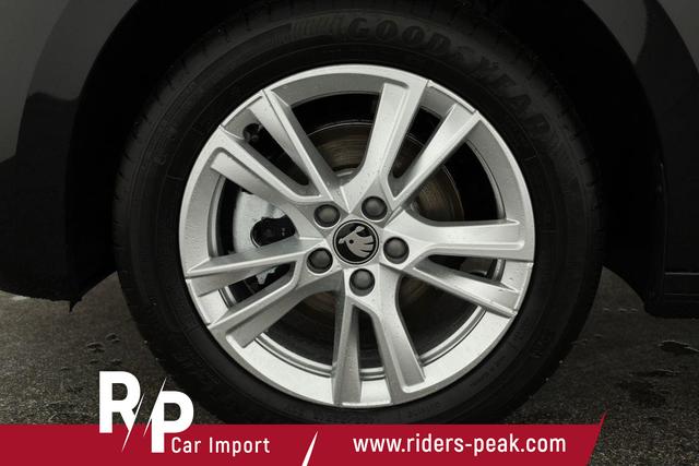 Skoda Fabia Selection 1.0 TSI DSG Selection, LED, Kamera, Side, ACC, Winter, Ladeboden, sofort 