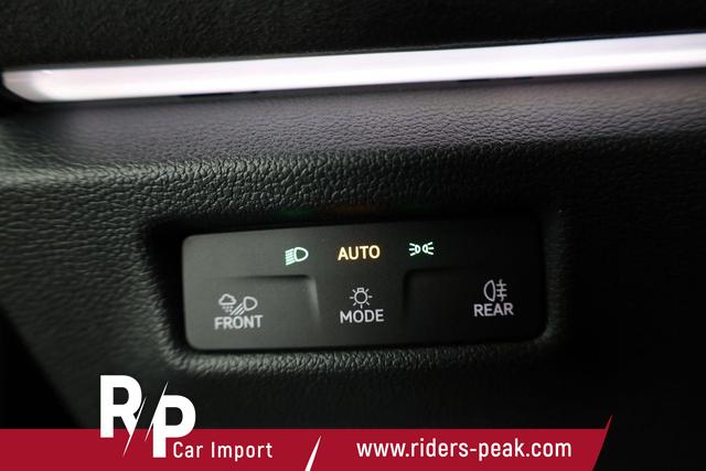 Volkswagen Tiguan 2.0 TDI 142 kW 4Motion R-Line DSG 4M Black, Pano, IQ.Light, AHK, Navi, Side, AreaView, Winter, sofort 