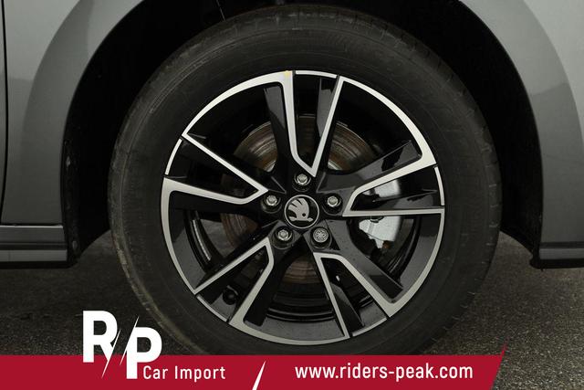 Skoda Fabia Monte Carlo 1.0 TSI DSG Carlo, LED, Kamera, Winter, 4 J.-Garantie 