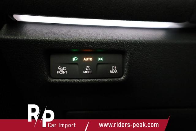 Volkswagen Tiguan 2.0 TSI 195 kW 4Motion R-Line DSG 4M Black Style, Pano, 20-Zoll, IQ.Light, AHK, Navi, Side, AreaView, Winter, sofort 