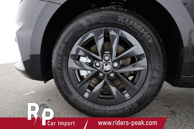 Skoda Fabia Selection 1.0 TSI DSG Selection, KESSY, Kamera, 15-Zoll schwarz, Winter, Ladeboden 