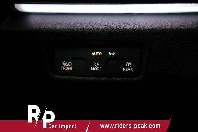 Volkswagen Tiguan 2.0 TDI 142 kW 4Motion R-Line DSG 4M Black, Pano, IQ.Light, AHK, Navi, Side, AreaView, Winter, sofort 