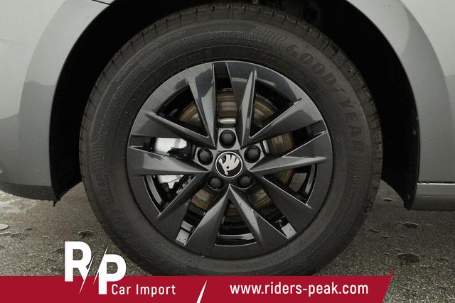 Skoda Fabia Selection 1.0 TSI 130 Jahre, LED, Kamera, Winter, Sunset, 15-Zoll 