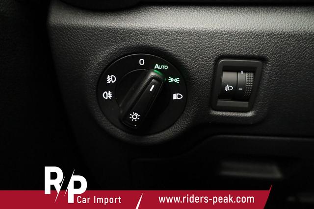 Skoda Fabia Monte Carlo 1.0 TSI DSG Carlo, LED, Kamera, Winter, 4 J.-Garantie 