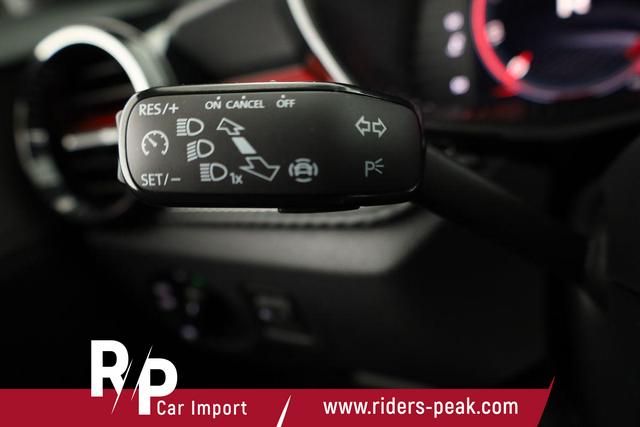 Skoda Fabia Monte Carlo 1.0 TSI DSG Carlo, LED, Kamera, Winter, 4 J.-Garantie 