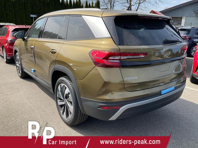 Skoda Kodiaq 2.0 TDI 142 kW 4x4 Selection DSG Selection, 7-Sitzer, AHK, Navi, Side, Kamera, Winter, 19-Zoll 