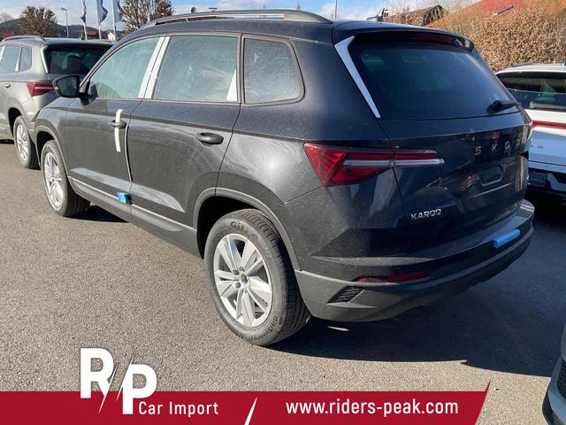 Skoda Karoq Selection 4x4 2.0 TDI DSG Selection, AHK, LED, Kamera, Winter, 4 J.-Garantie 
