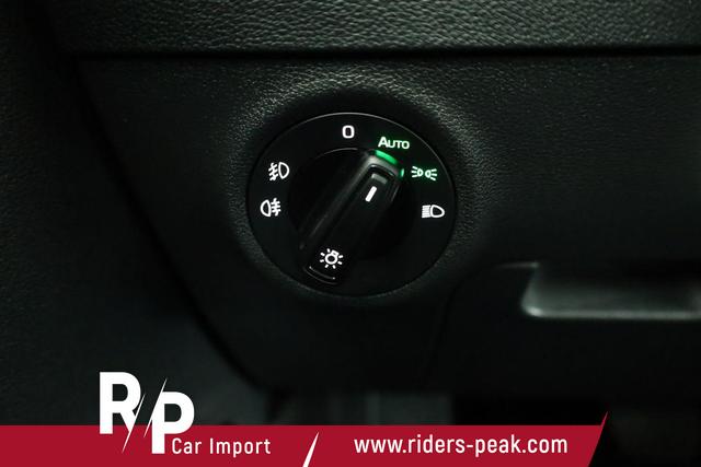 Skoda Karoq Selection 2.0 TDI DSG 4x4 Selection, AHK, Navi, LED, Kamera, Winter, el. Klappe, 4 J.-Garantie 