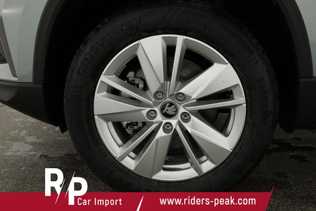 Skoda Karoq Selection 2.0 TDI DSG 4x4 Selection, AHK, Navi, LED, Kamera, Winter, el. Klappe, 4 J.-Garantie 