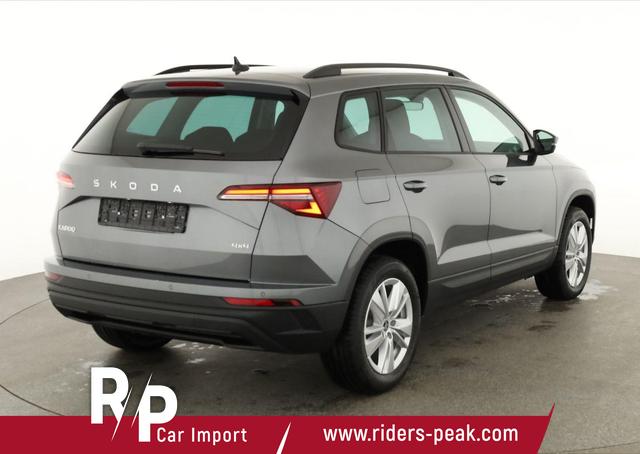 Skoda Karoq Selection 4x4 2.0 TDI DSG Selection, AHK, LED, Kamera, Winter, 4 J.-Garantie 