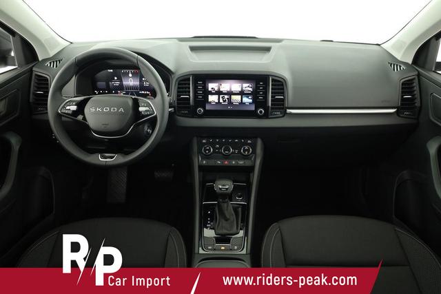 Skoda Karoq Selection 4x4 2.0 TDI DSG Selection, AHK, LED, Kamera, Winter, 4 J.-Garantie 