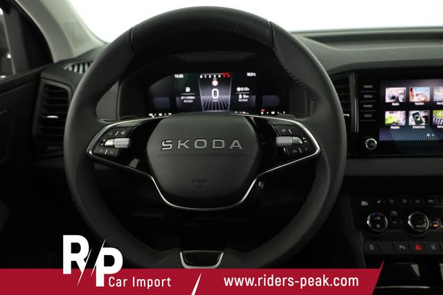 Skoda Karoq Selection 4x4 2.0 TDI DSG Selection, AHK, LED, Kamera, Winter, 4 J.-Garantie 