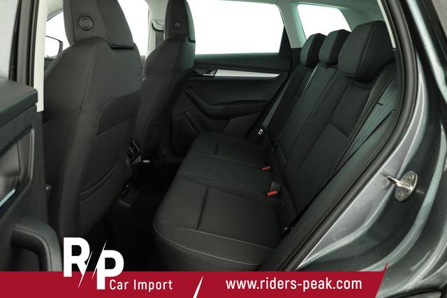 Skoda Karoq Selection 4x4 2.0 TDI DSG Selection, AHK, LED, Kamera, Winter, 4 J.-Garantie 