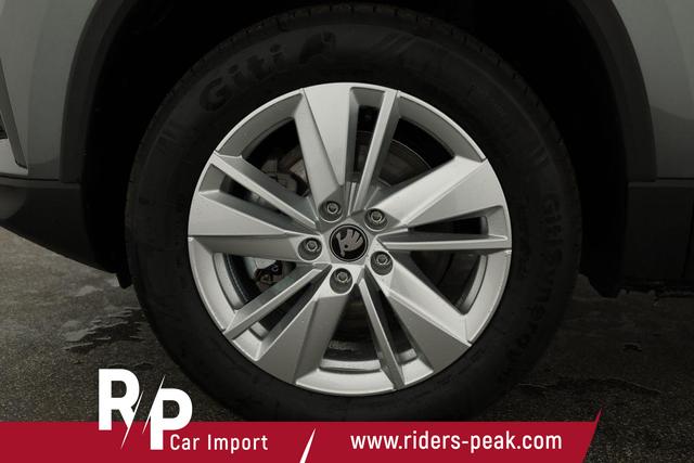Skoda Karoq Selection 4x4 2.0 TDI DSG Selection, AHK, LED, Kamera, Winter, 4 J.-Garantie 