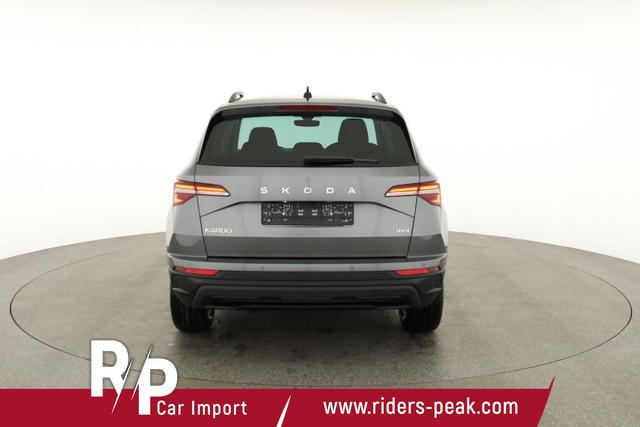 Skoda Karoq Selection 4x4 2.0 TDI DSG Selection, AHK, LED, Kamera, Winter, 4 J.-Garantie 